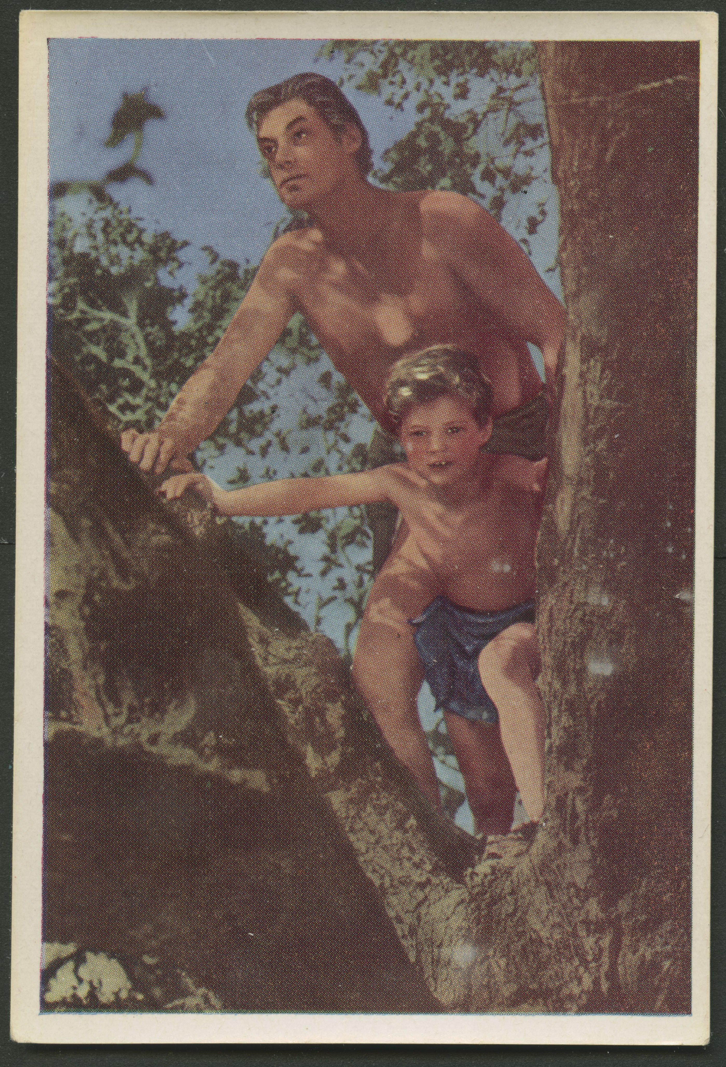 Tarzan-1932-1948 #0386 (image for) Tarzan-1932-1948 #0386